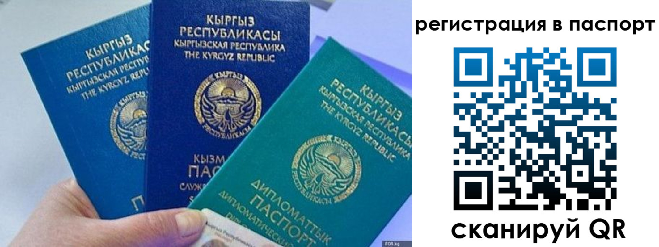 прописка 2025 в Камчатском крае